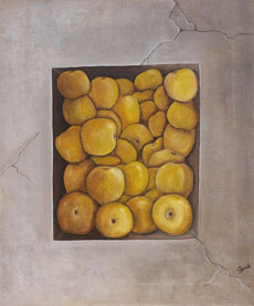 des pommes dans un mur