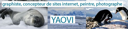 le site de yaovi
